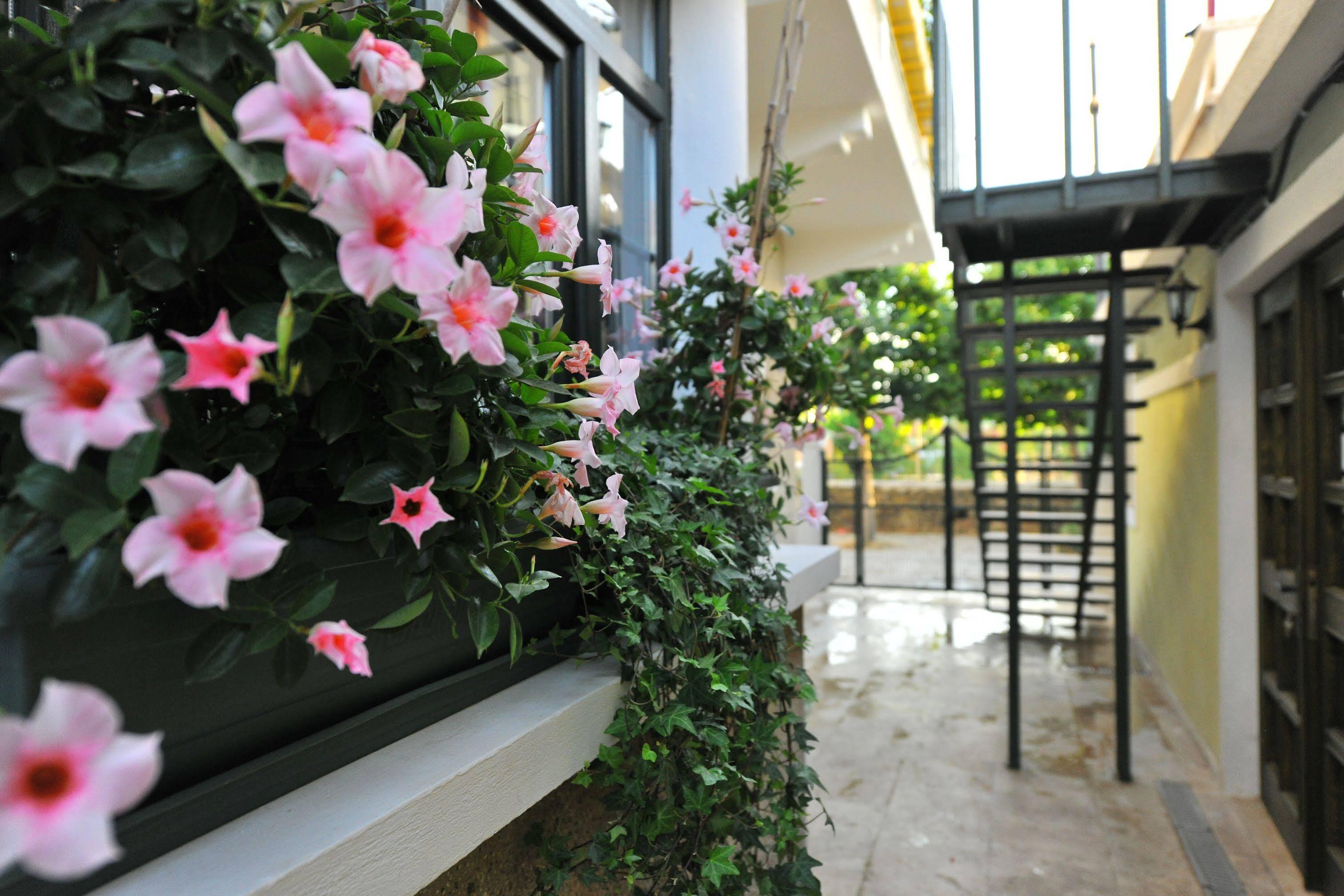İmroz Petrino Goekceada Hotel&Kitchen מראה חיצוני תמונה